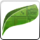 This Is Green