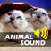 Animals Sounds Board logo
